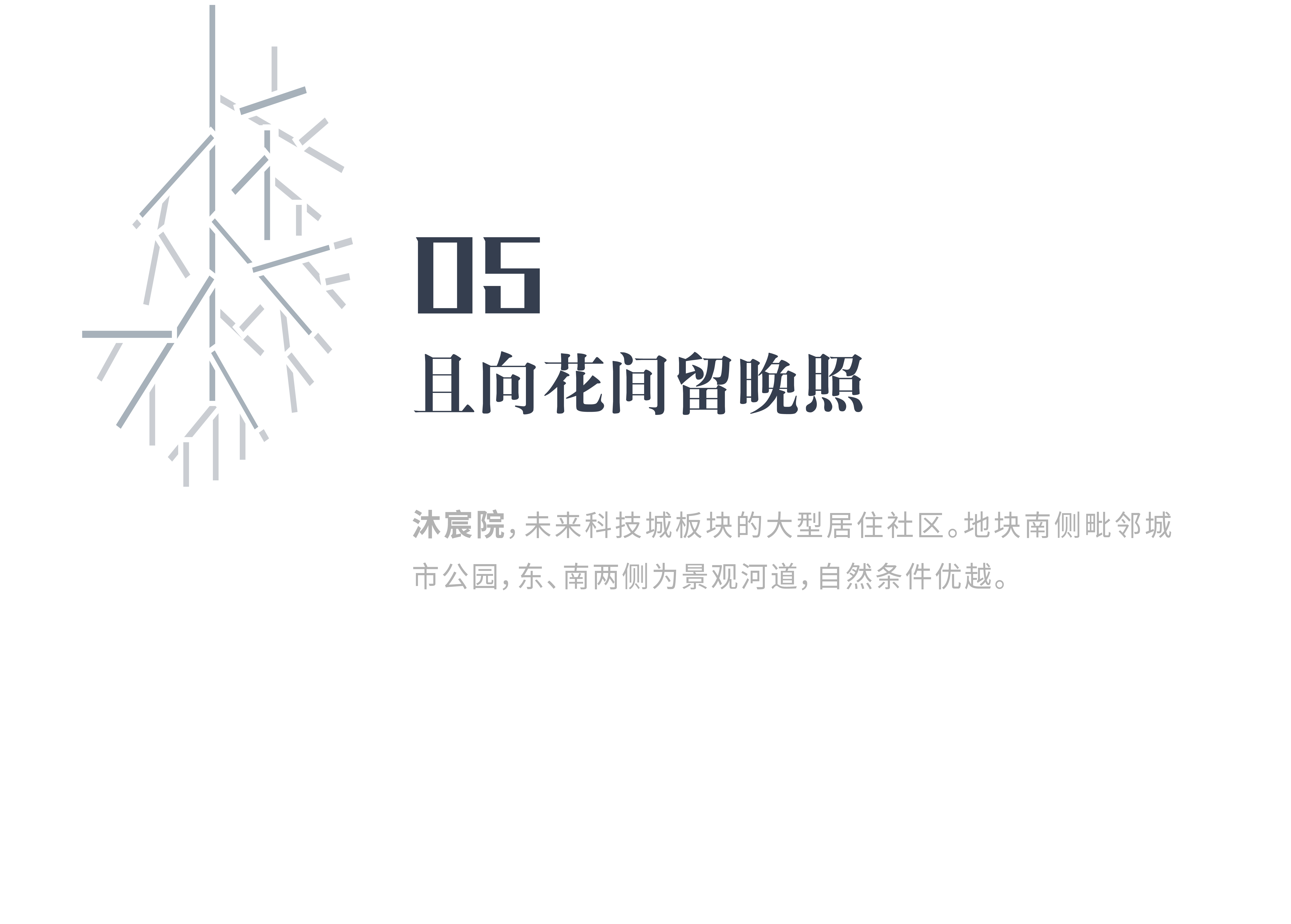 asiagame(中国区)官方网站